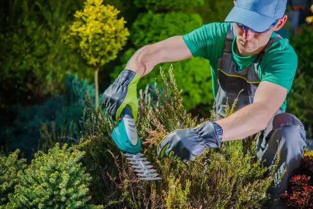 landscaping services Cloverdale